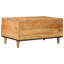 Solid Wood Coffee Table