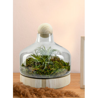 Valena Glass Table Vase