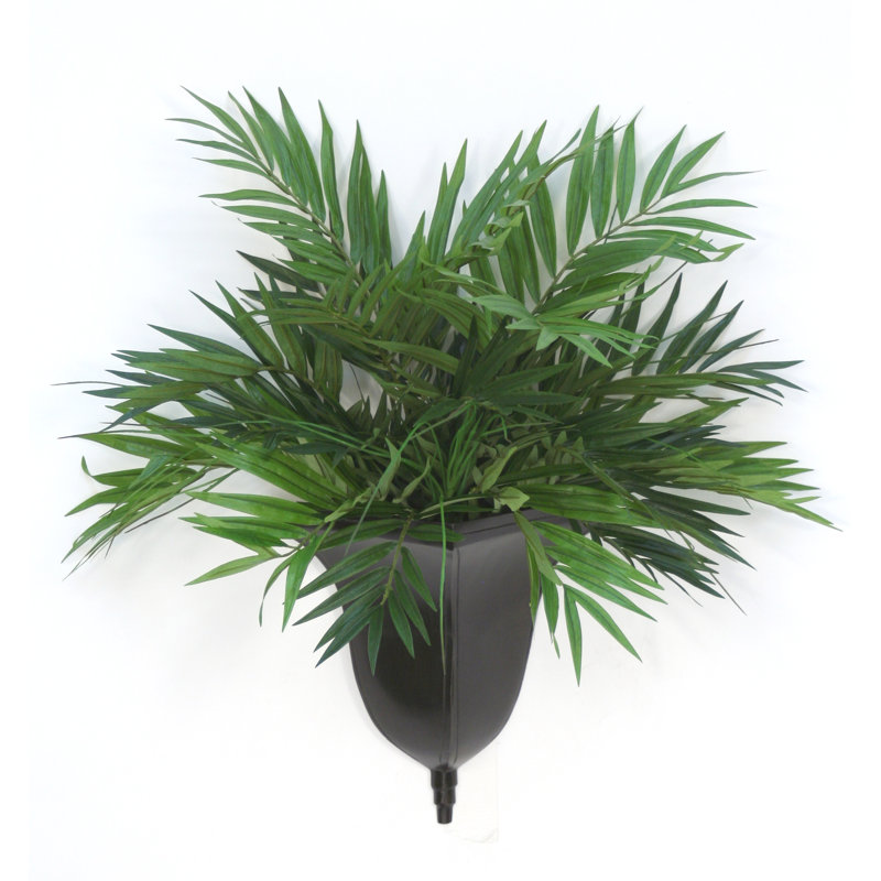 Plante de palmier en pot salon