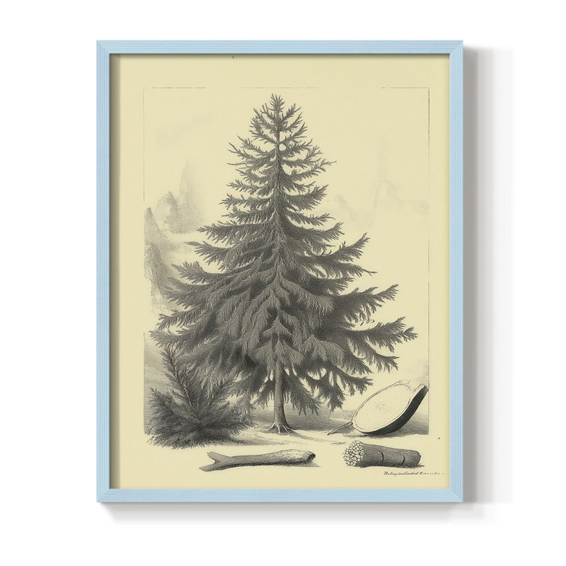 Reproduction d'art encadrée de Noël, H 30 po x l 24 po, Blue