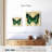 Silk Butterfly III