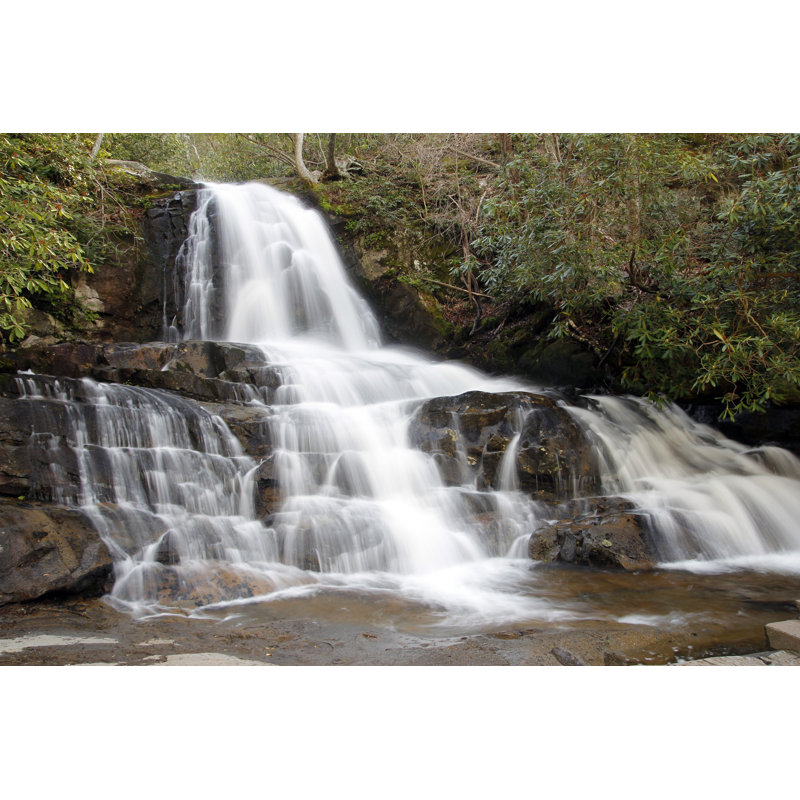 Laurel Falls by Bambig - Wrapped Canvas Print, 51cm H x 76cm W