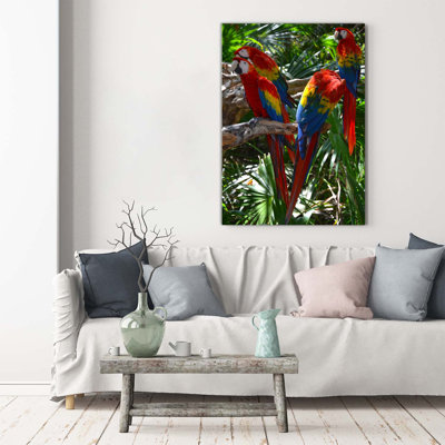Macaw Parrots - Wrapped Canvas Print