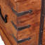 Accent Trunk