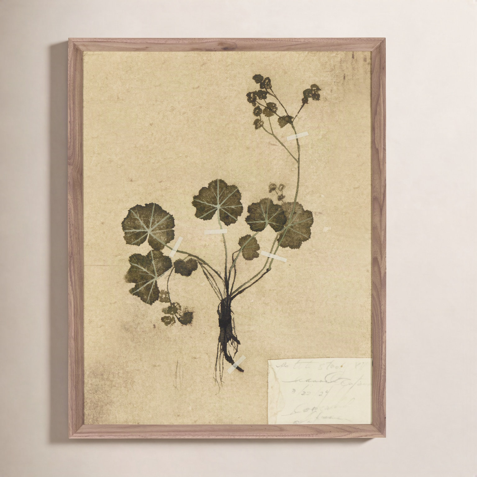 "Petite Study No. Vi" by Hannah Winters, 24" H x 18" W