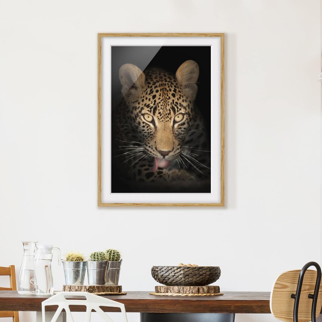 Gerahmtes Poster Resting Leopard