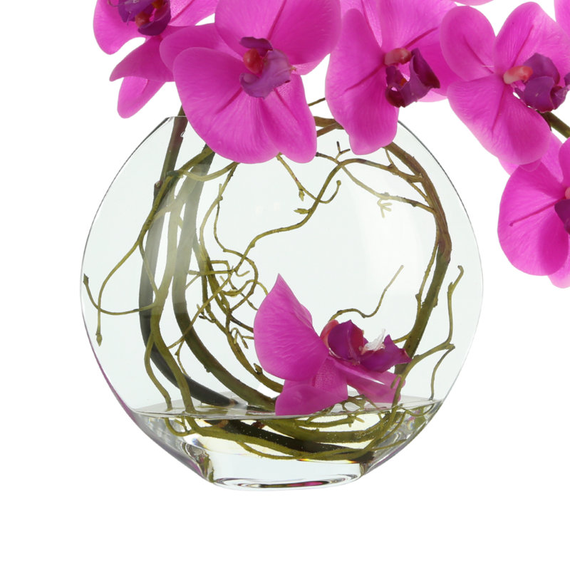 Whisman Orchid Arrangement in Round Glass Vase with Vines, Magenta