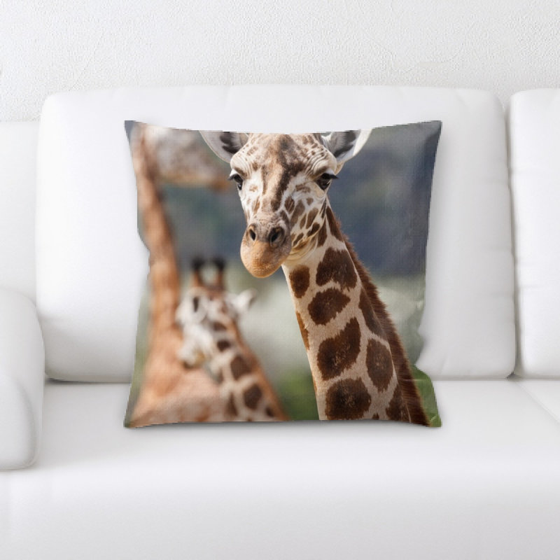 Coussin en afrique