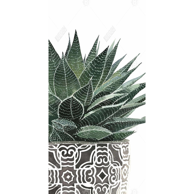 Zebra plant succulent - 15.75"x31.50" Desk mat