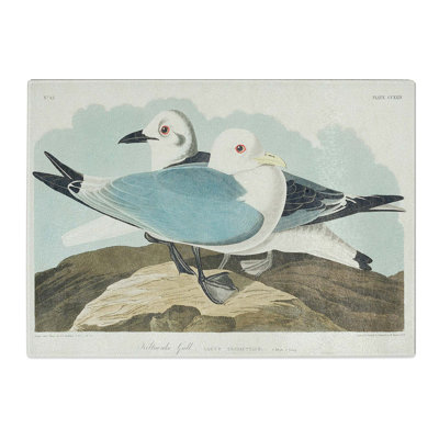Tempered Glass Two Kittiwake Gulls by John James Audubon Chopping Board