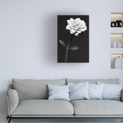 Anders Kustas  White Flower Canvas Art