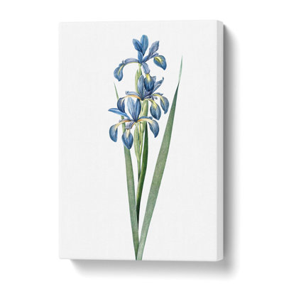 Blue Iris Flowers - Wrapped Canvas Painting