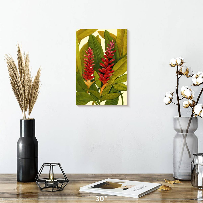 Harnek Tropical Red Ginger, 12" H x 8" W