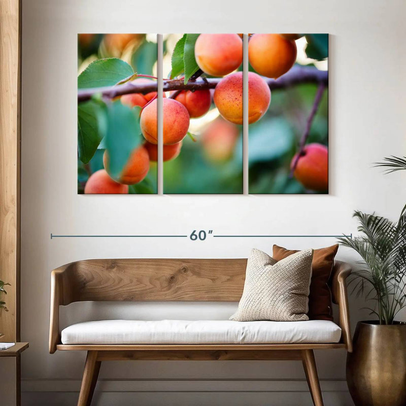 Yarlin abricots pour la récolte, H 32 po x l 50 po