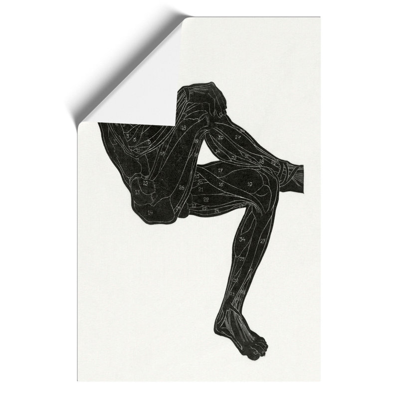 Anatomical Study of a Man by Reijer Stolk - Frameless Print, 30cm H x 21cm W x 0.1cm D