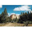 View From The Trail by Sylvia Cook - Wrapped Canvas Print-2105618384