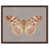 Walnut Frame n'est pas disponible