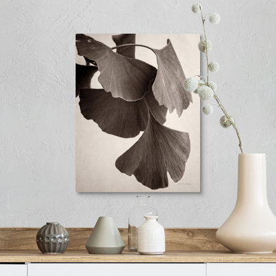 Gingko sépia - reproduction sur toile