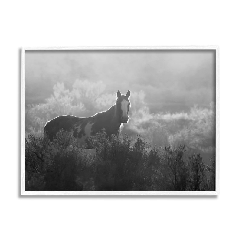 Cheval dans la nature, arbres sur toile par Steve Toole, H 11 po x l 14 po x P 1,5 po, Giclée encadrée blanc bord de mer