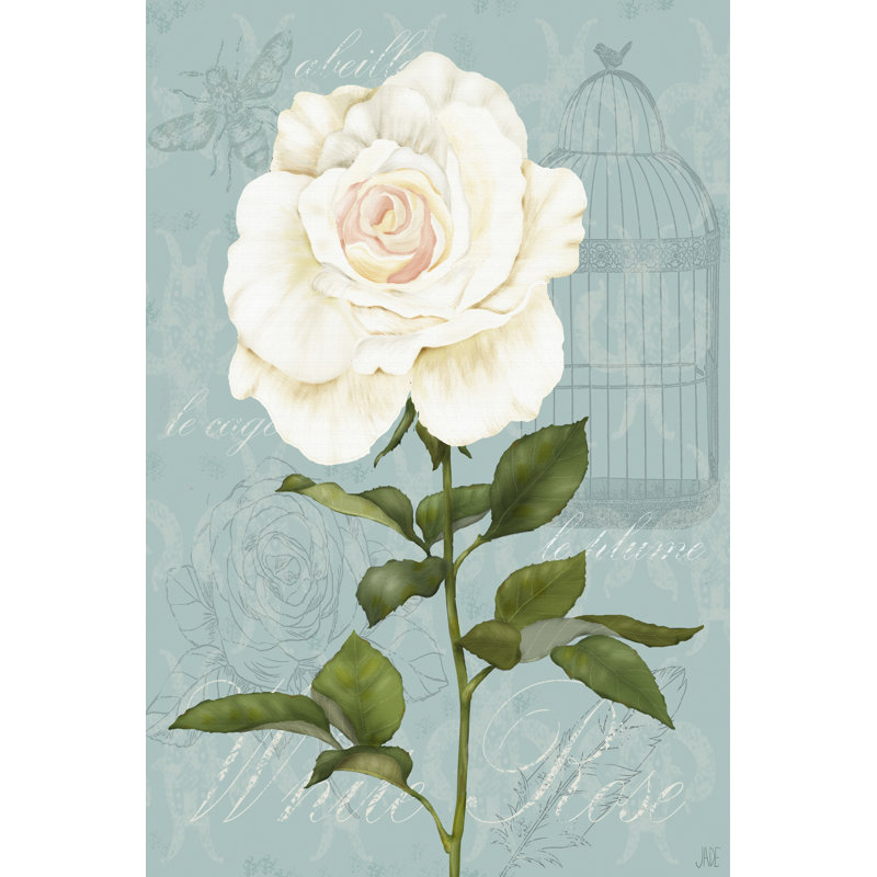 Cream Rose I by Jade Reynolds - Wrapped Canvas Print, 122cm H x 81cm W x 3.8cm D