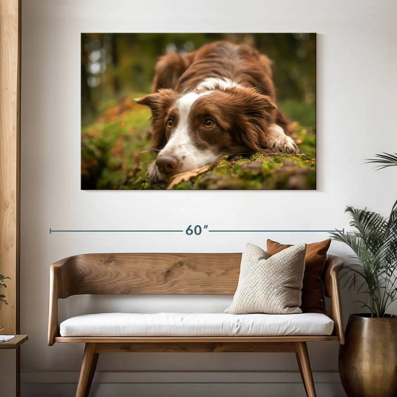 Brampt Lovable Border Collie, 32'' H x 48'' W