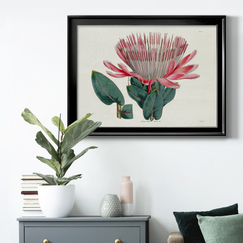 Protea N17 - Peinture sur toile encadrée, Cadre noir, H 30,5 po x l 42,5 po x P 1 po