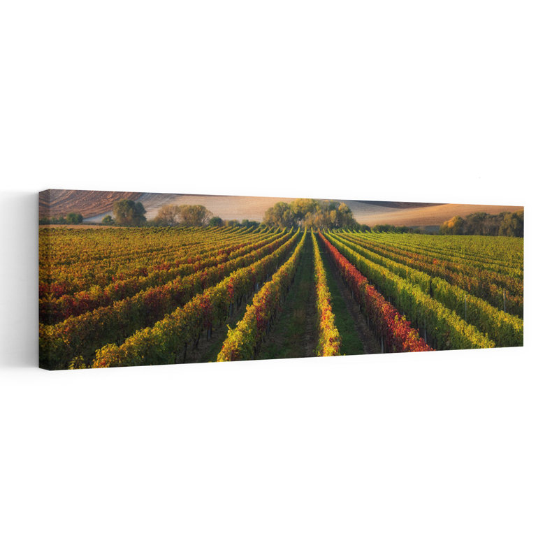 Vibrant Autumn Vineyard 1 Piece Wrapped Canvas Panoramic Wall Art, 152.4 cm H x 50.8 cm W