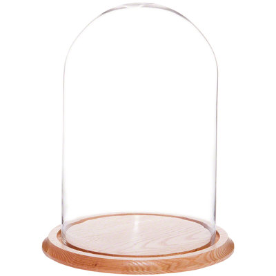 Vucciria 9.75" x 15" Glass Display Dome Cloche