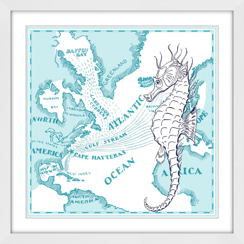 Seahorse - Print on Canvas, 41cm H x 41cm W x 3.81cm D