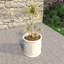 Pot à fleurs Tarneshia-1281903813-1281903812