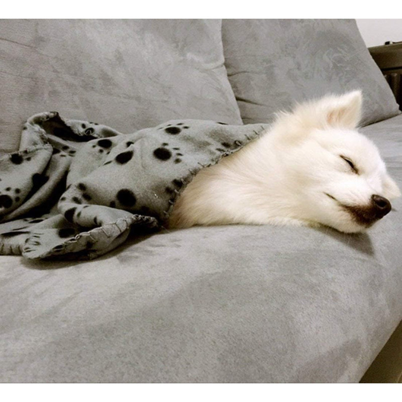 Animal Print Pet Blanket, 28" W x 24" L