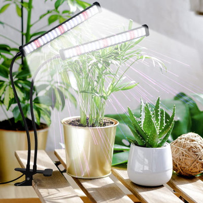Grow Light 100W 6000K, Bright Desktop Clip Plant Lamp For Seedlings Succulents Seeds Starting Indoor Plants Growing,Bendable Gooseneck & Timer 4 8 12 H
