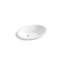 Citizen Vitreous China Oval Under-Mount Bathroom Sink with Overflow