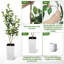 Faux Plant-216967048