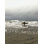 Danielle Davis " Surfing With You II " by Danielle Davis
