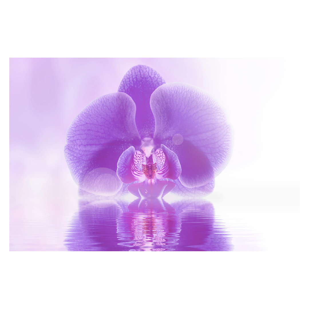 Purple Orchid on Water 2.55m x 3.84m Textured Matt Peel & Stick Wall Mural