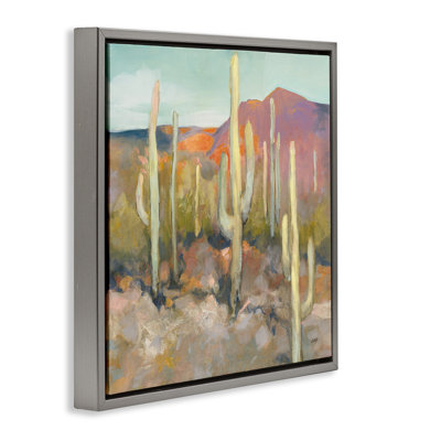 Paysage de désert de cactus doux