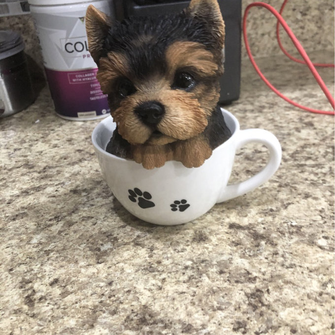 Yorkshire Terrier Puppy In Briefcase Fan Pull Chain - Cute Dog Themed Ceiling Fan Accessory