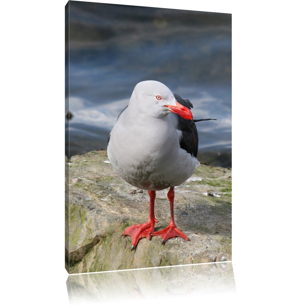 Leinwandbild Möwe am Meer