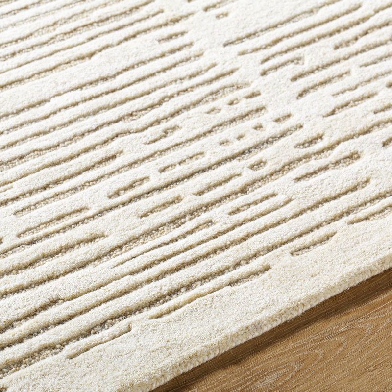 Carmellia Hand Tufted Wool Abstract Indoor Rug, Rectangle 2' x 3'