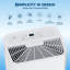 50 Pint Dehumidifier for 5,500 Sq Ft, Quiet Large-Capacity for Basement & Bedroom with Continuous Drainage