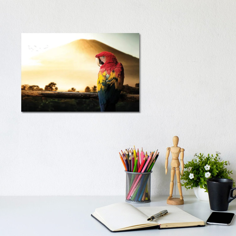 Parrot by Milos Karanovic - Wrapped Canvas Print, 20.32 cm H x 30.48 cm W