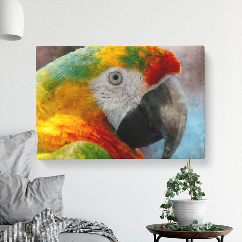 A Macaw Parrot - Wrapped Canvas, 35cm H x 50cm W x 3cm D