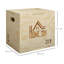 Jumping Box