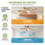 Ceiling Fan-1040058583-1040058582