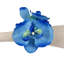 Plastique, anneau de serviette en tissu-331159667