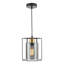 1 - Light Matt Black Pendant
