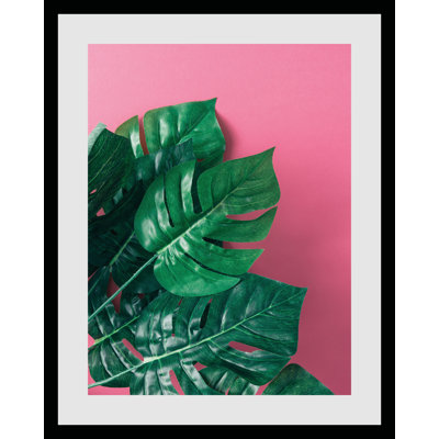 Leaves - Single Picture Frame Print