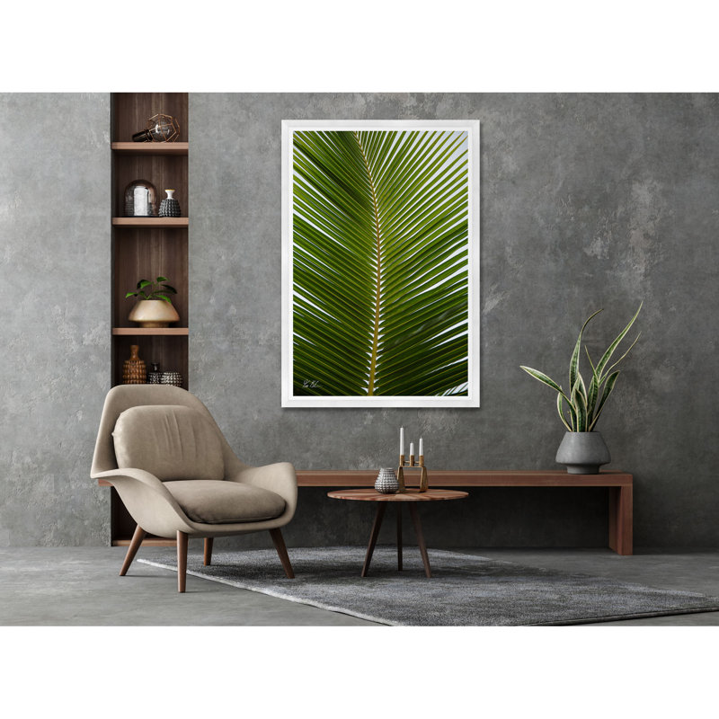 Palmier tropical, H 54,75 po x l 37,5 po x P 1,5 po, Lustre photo encadré, Cadre blanc