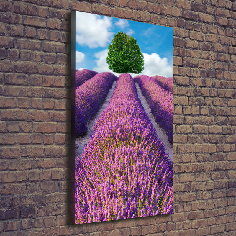 Lavender Field - Wrapped Canvas Print